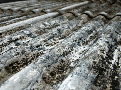 Asbestos Encapsulation